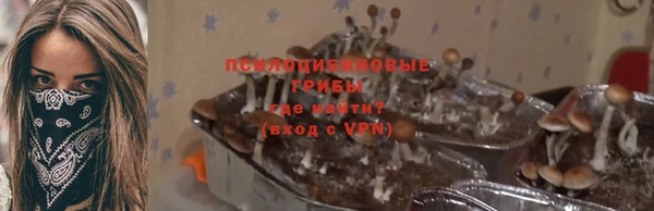 трава Дмитров